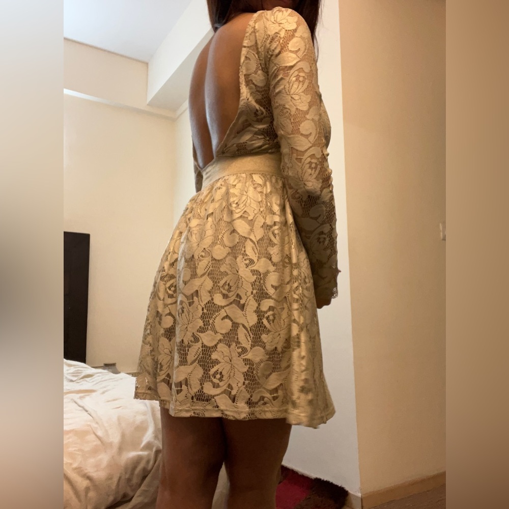 Zara Crème Net Lace Dress - Picture 9 of 12
